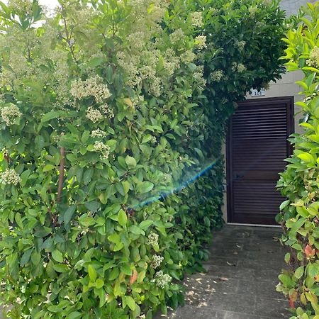 Agriturismo Tenuta Don Giovanni Melendugno Exteriör bild