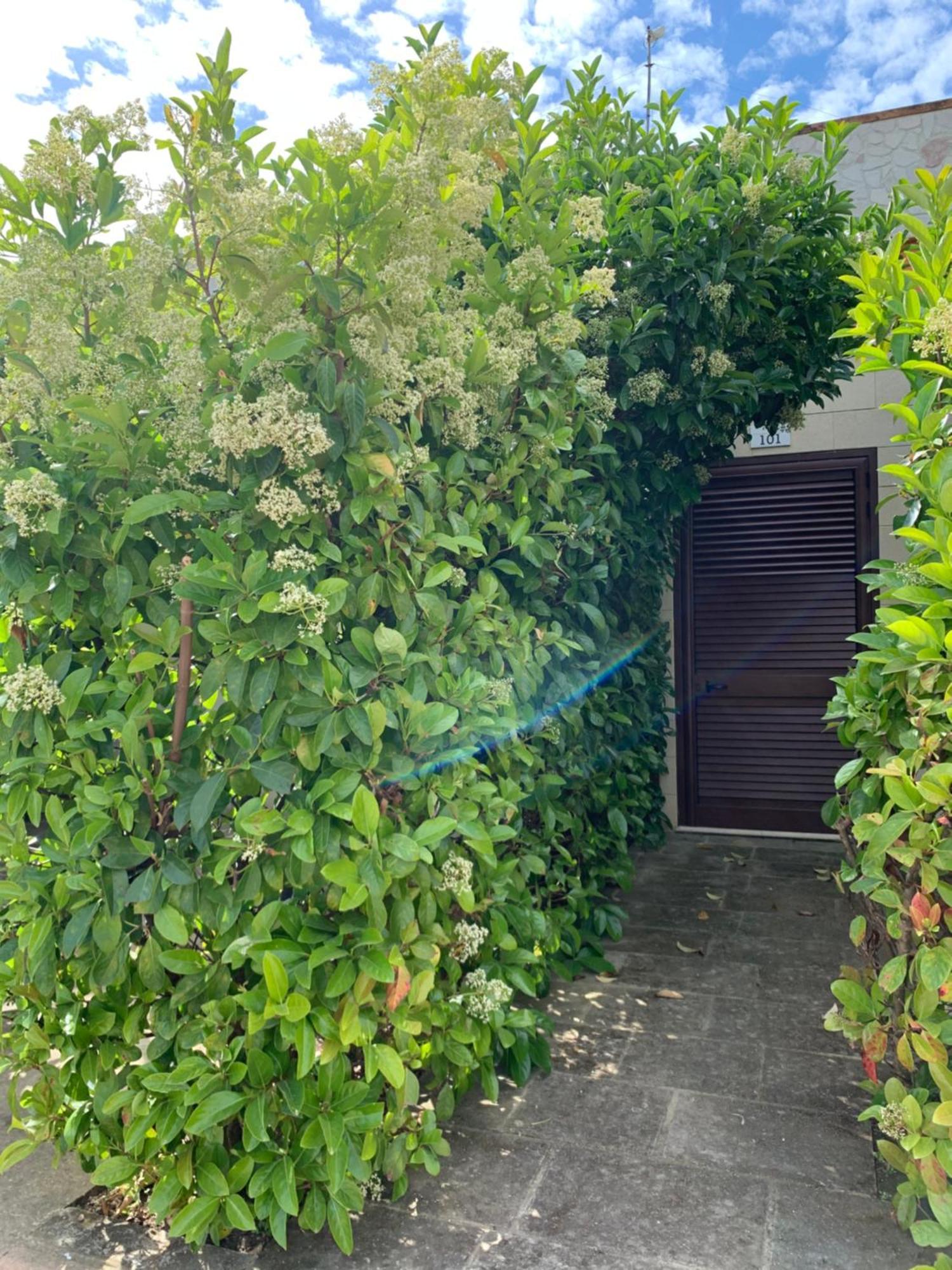 Agriturismo Tenuta Don Giovanni Melendugno Exteriör bild